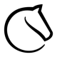 lichess