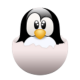 Linux Lounge